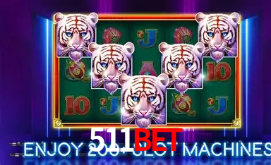 Descubra o Mundo do Cassino Online com 511Bet